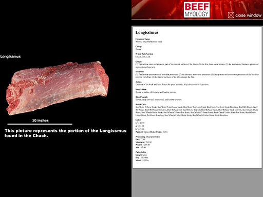 AppBeefAnatomy3