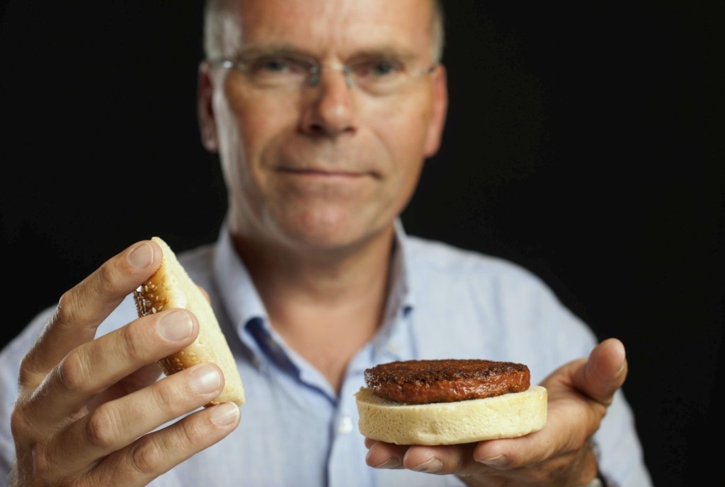 hamburguer in vitro 1