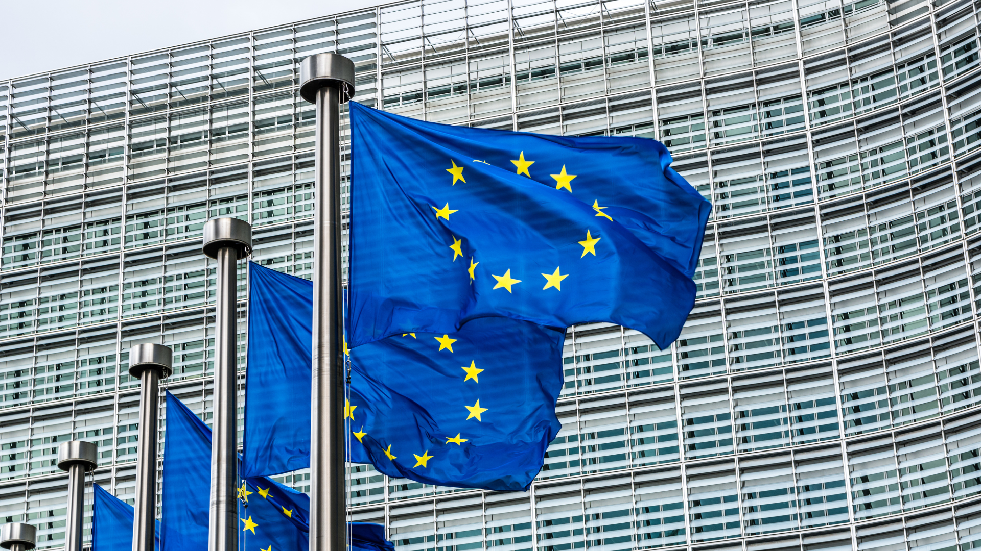 Europa propõe simplificar e adiar regras da lei antidesmatamento