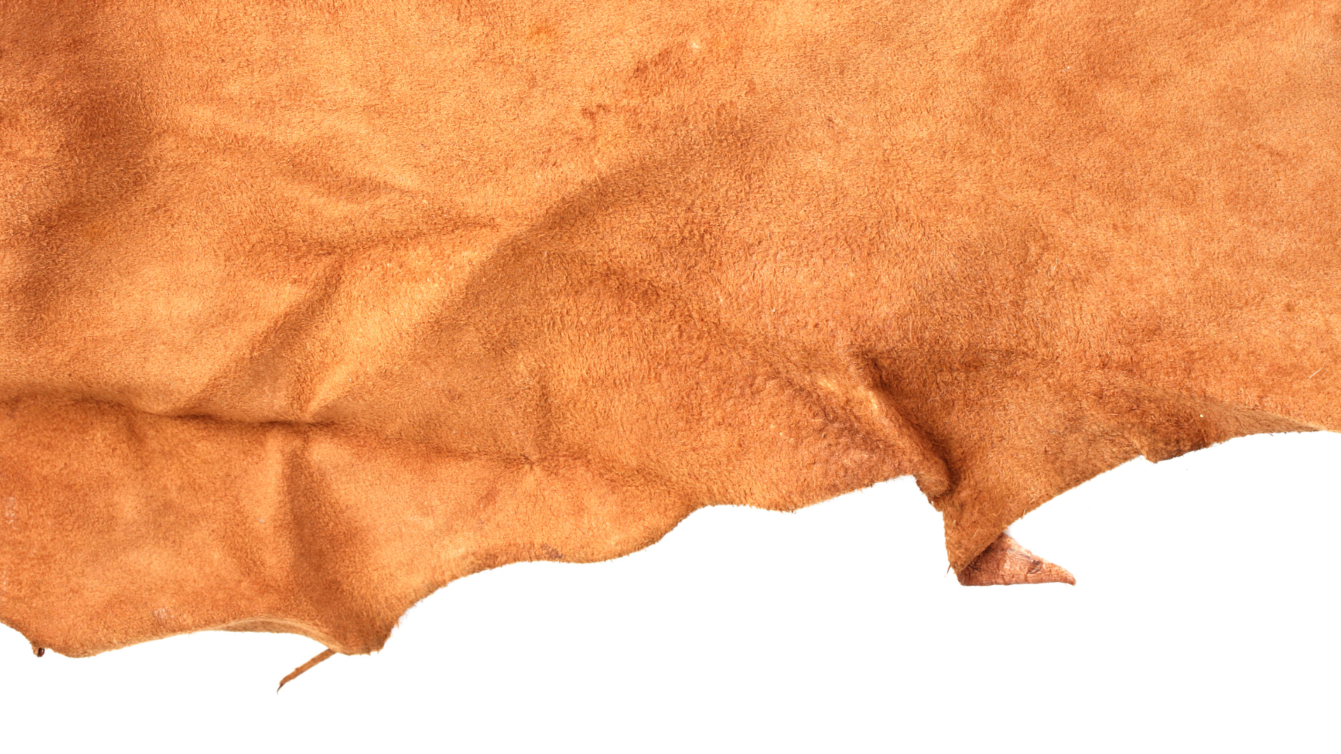 Tarifa zerada e sem cotas: acordo Mercosul-UE oferece fôlego ao couro do Brasil