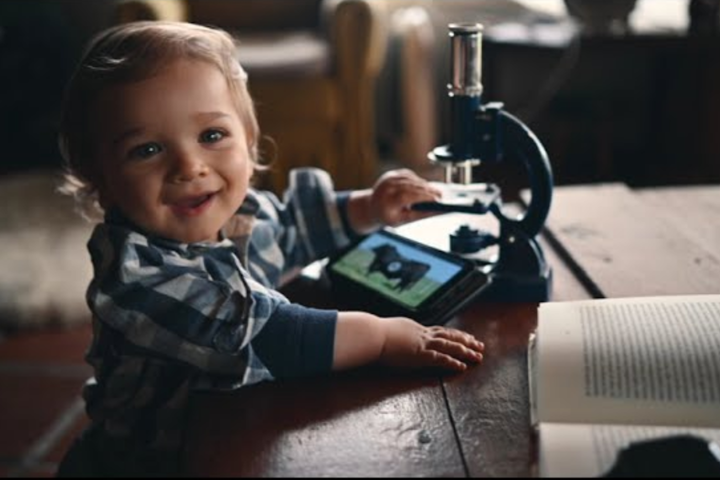 Estância Santa Amélia leva sua genética de destaque ao Leilão Só Angus Pelotas