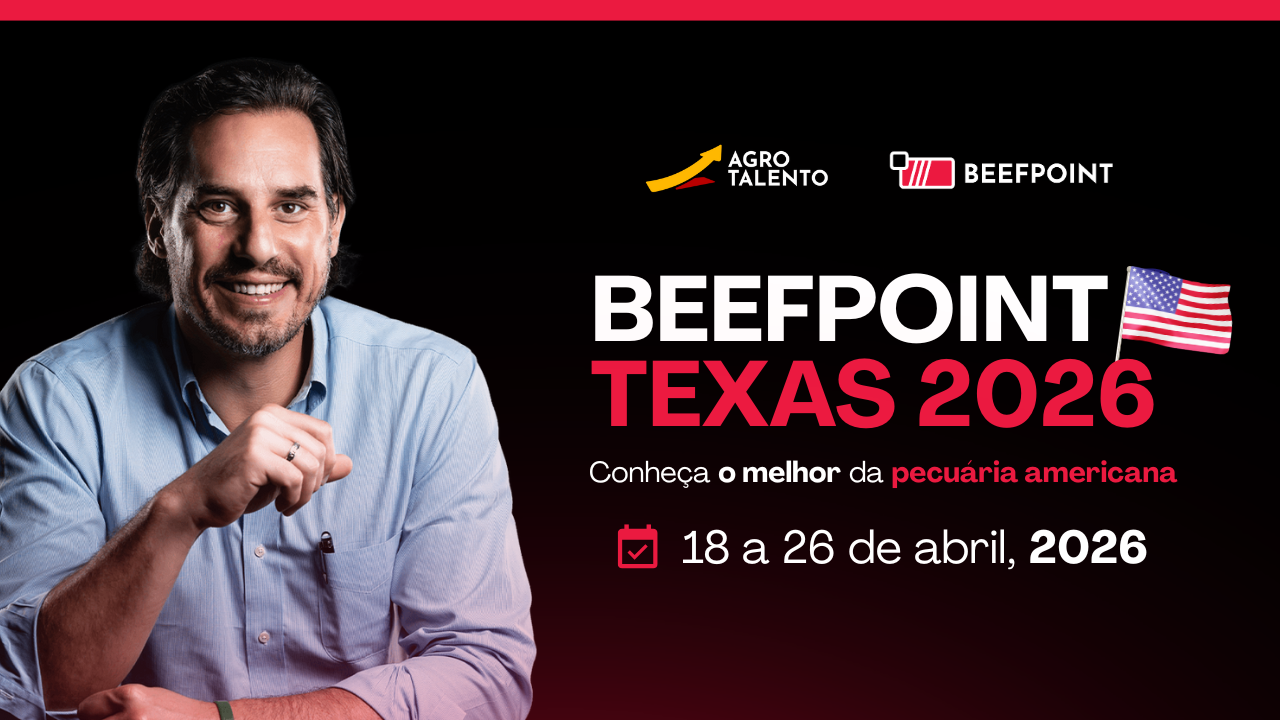 THUMB VIAGEM TEXAS 2026