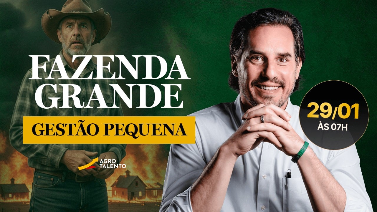 WhatsApp Image 2026-01-28 at 16.13.57