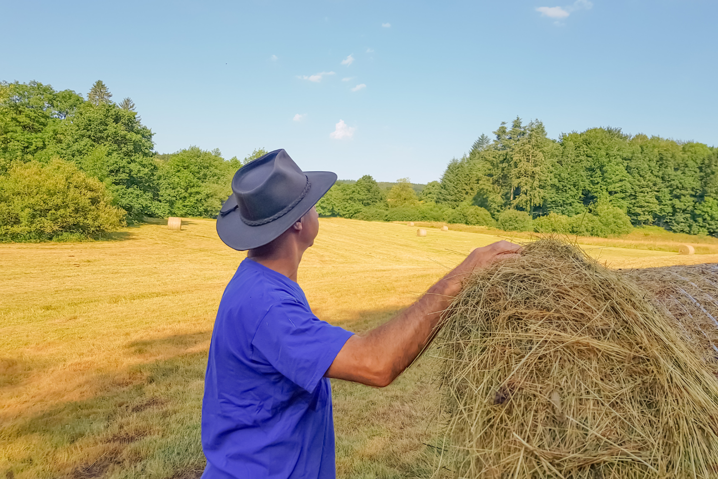 CEPEA: Em 2025, agronegócio emprega mais de 26% da população ocupada no País