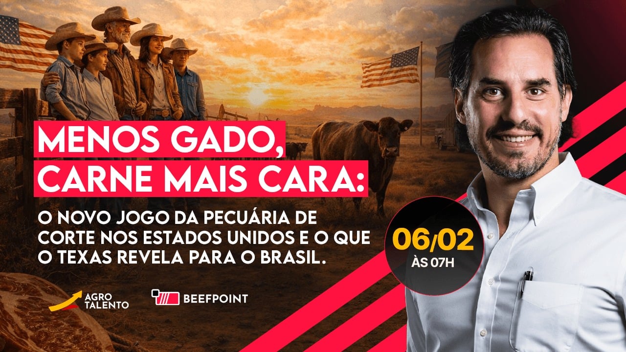 Aula ao vivo 06/02 às 7h: Menos gado, carne mais cara: o novo jogo da pecuária de corte nos Estados Unidos e o que o Texas revela para o Brasil