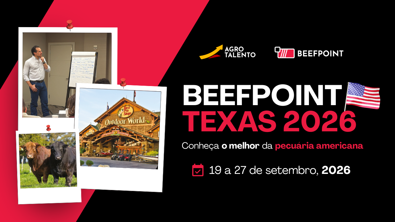 THUMB VIAGEM TEXAS 2026